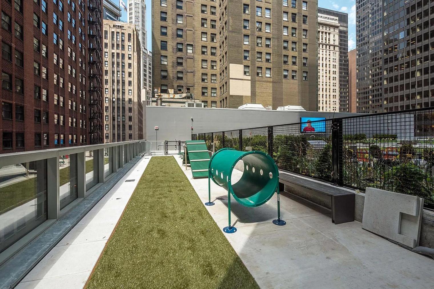 Loop 1br W Gym Pool Wd Nr Millennium Park Chi-227 Chicago
