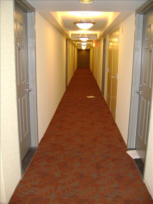 - Eugenie Terrace Two-bedroom * Chicago