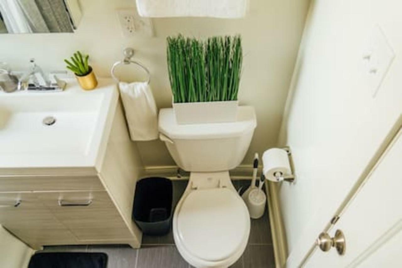 Convenient & Newly Decorated 1br - Roscoe 1d Apartment