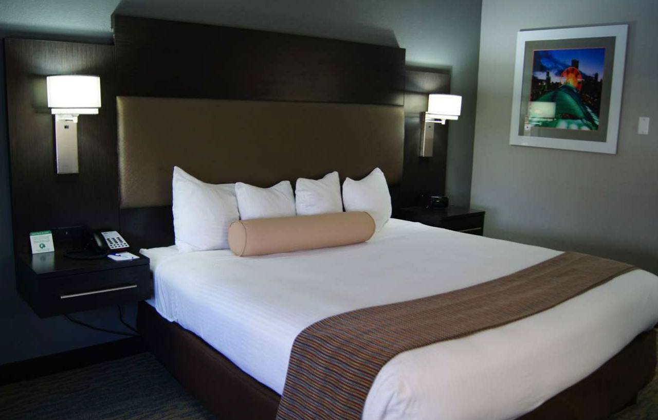 Hotel Western At O'hare Rosemont
