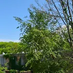 Prime Location W/ Historic Charm Near Shops &Parks