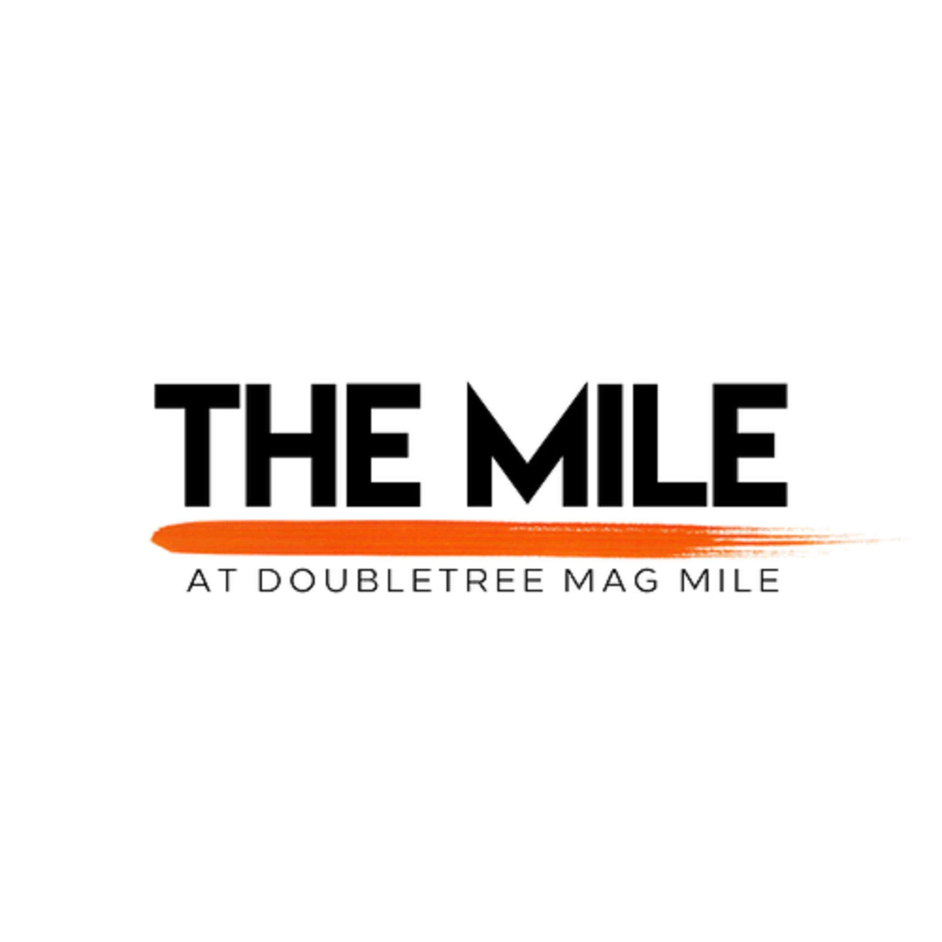 Hotel Doubletree By Hilton Magnificent Mile 4*