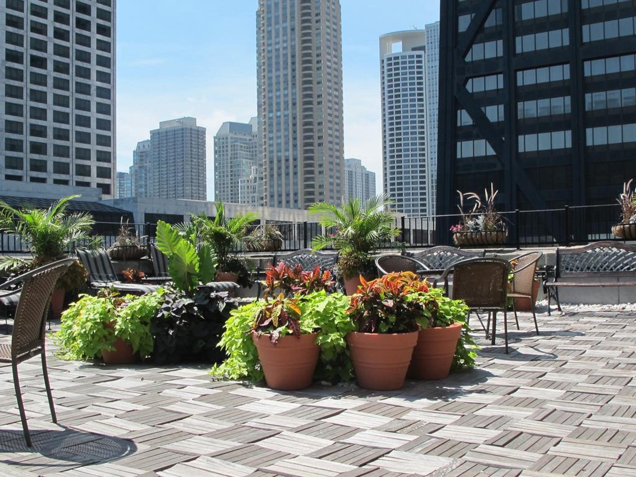 Hotel Gale Chicago