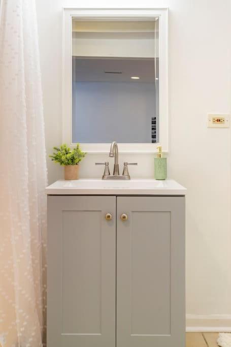 Apartment Cozy 2br/2ba Near Downtown-chi Chicago