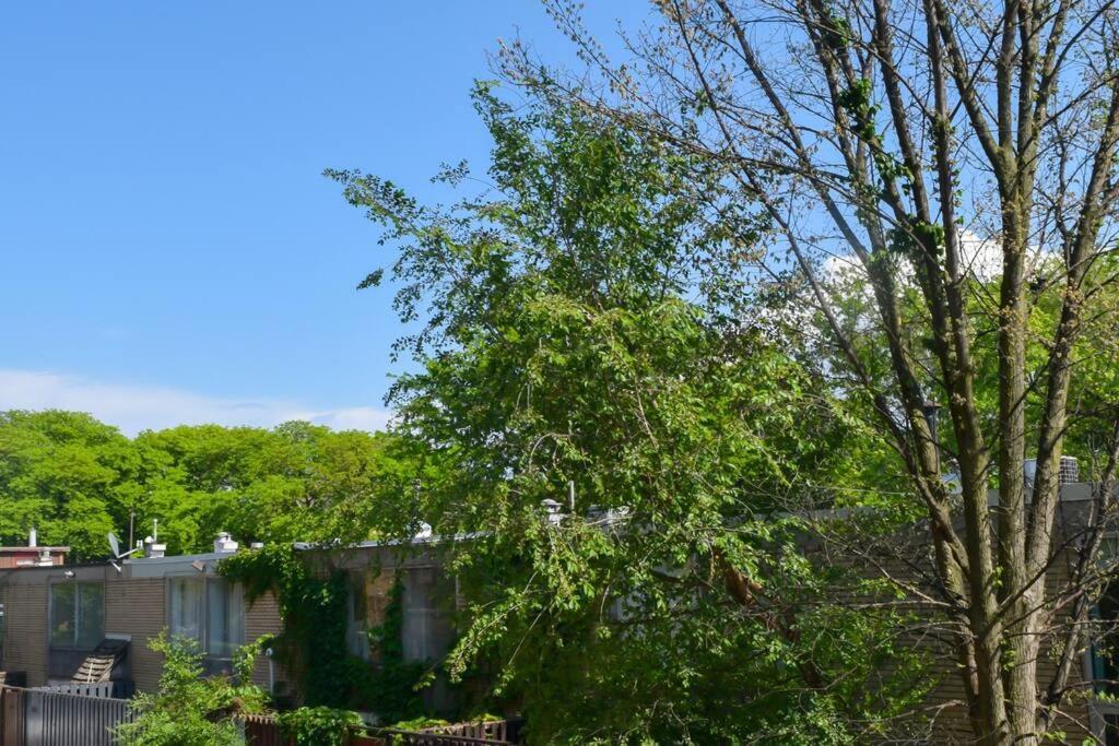 Prime Location W/ Historic Charm Near Shops &parks *