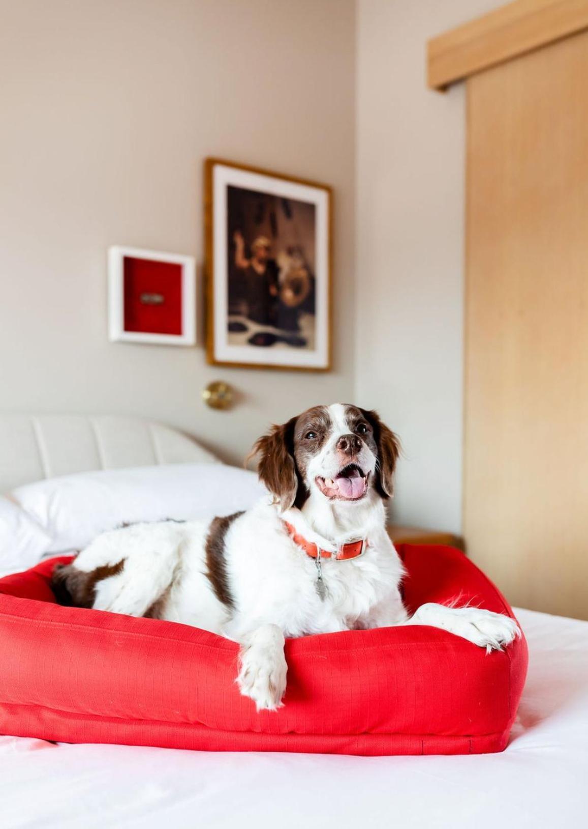Hotel Virgin