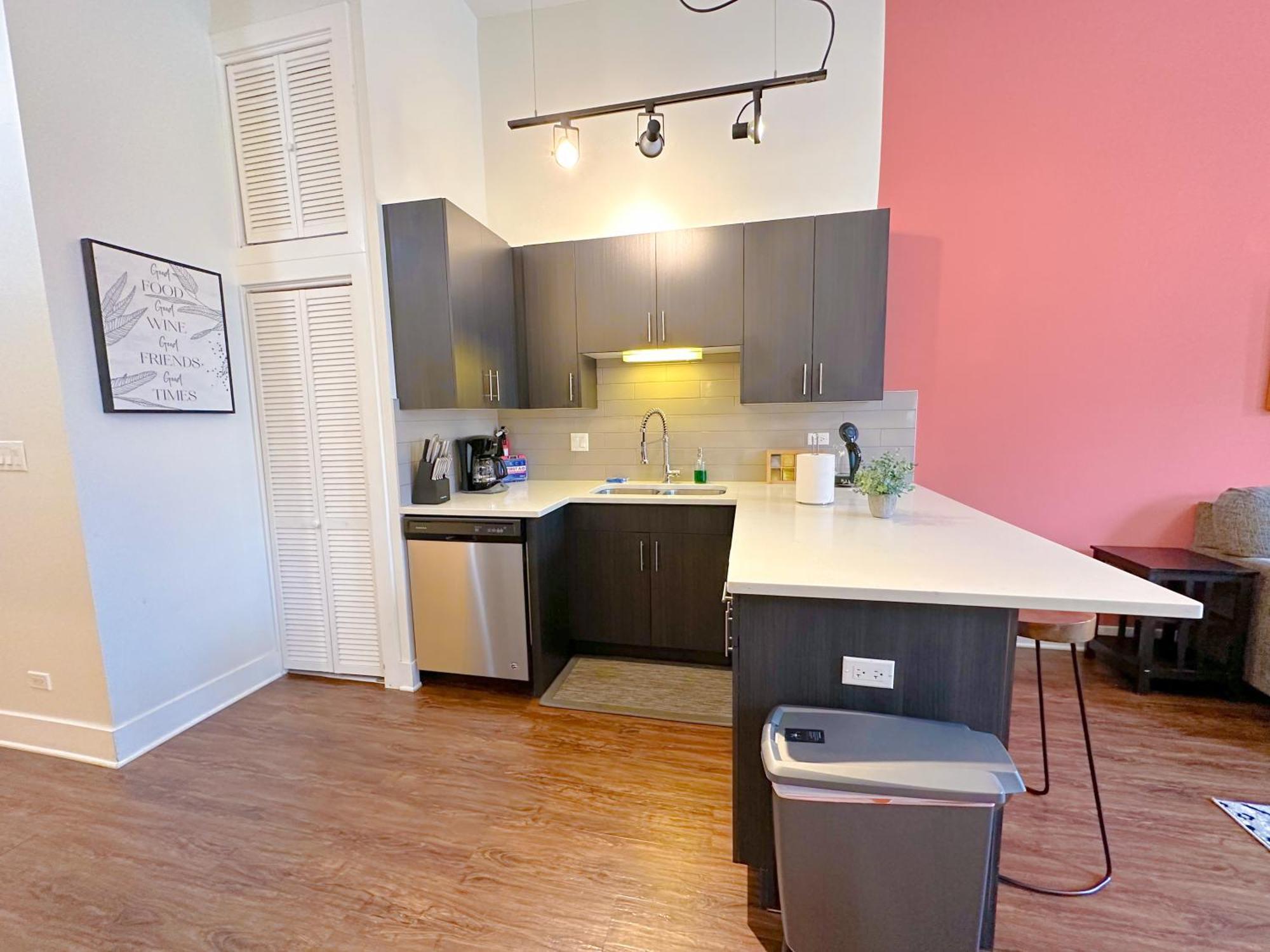 Apartment Mccormick Place 420 Friendly 2br/2ba With Optional Parking For Up To 6 Guests Chicago