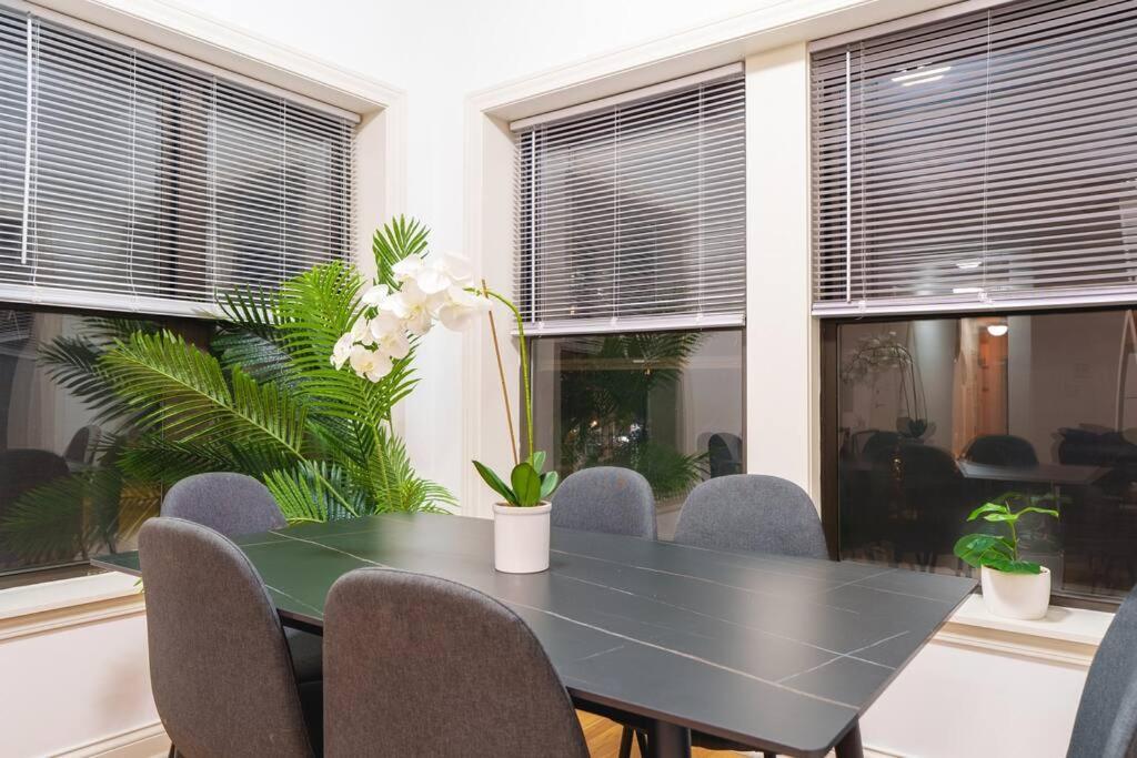 Cozy 3br Hyde Park Oasis Near Uchi, Shops & Dining Apartment Chicago