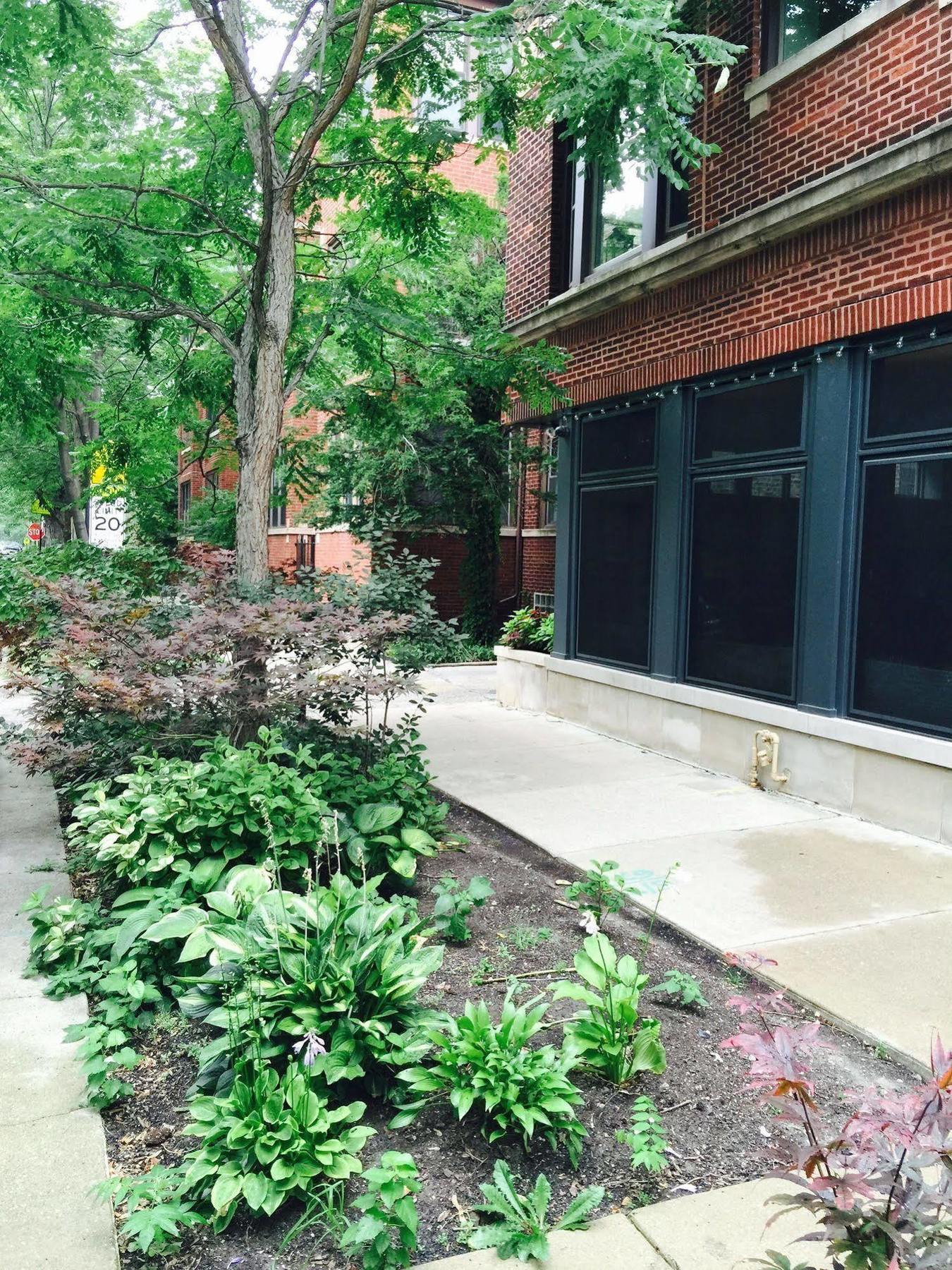 House 5863- Chicago's Premier Chicago